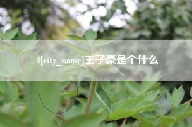 汶上王子豪是个什么