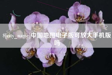 汶上中国地图电子版可放大手机版吗