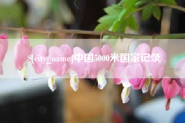 汶上中国5000米国家记录