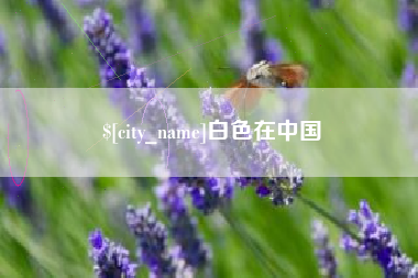 汶上白色在中国