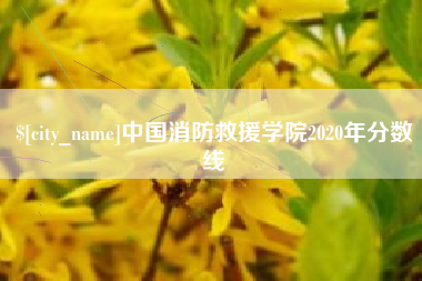 汶上中国消防救援学院2020年分数线