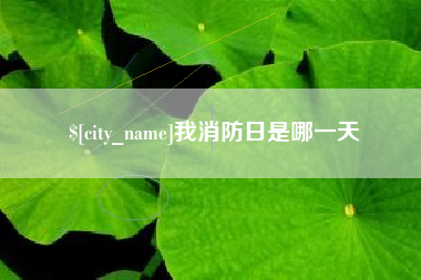 汶上我消防日是哪一天