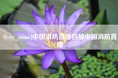 汶上中国消防直播回放中国消防直播
