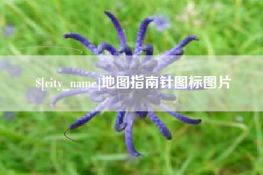 汶上地图指南针图标图片
