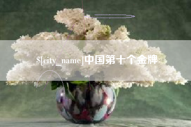 汶上中国第十个金牌