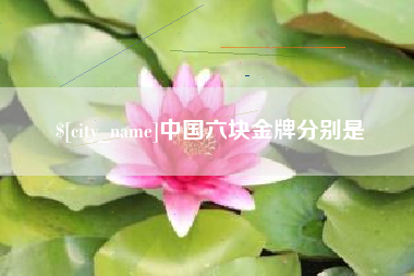 汶上中国六块金牌分别是