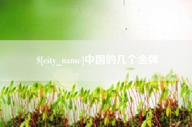 汶上中国的几个金牌