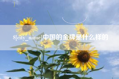 汶上中国的金牌是什么样的