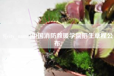 汶上中国消防救援学院招生章程公布!
