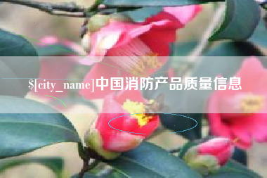 汶上中国消防产品质量信息