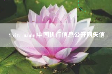 汶上中国执行信息公开网失信