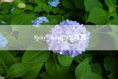 汶上2022九宫