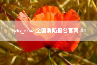 汶上全国消防报名官网2021