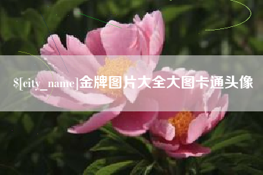 汶上金牌图片大全大图卡通头像