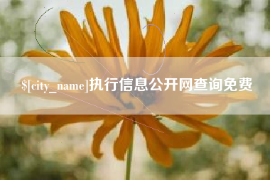 汶上执行信息公开网查询免费