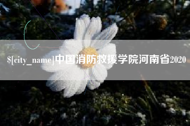 汶上中国消防救援学院河南省2020